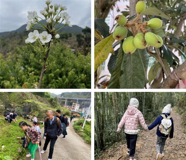 凝心聚力再出發,風雨同舟赴星溪!--廣東博皓2024龍年首登星溪之旅 -4