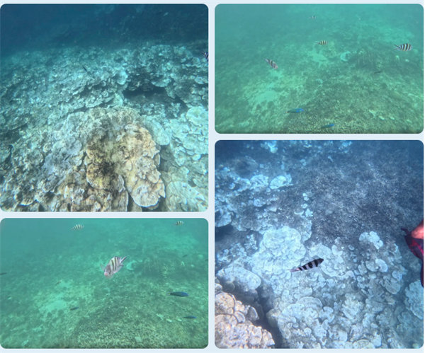 風(fēng)雨兼程二十載,馬來之旅續(xù)新篇——2024年博皓沙巴風(fēng)情之旅 -6