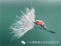 【博皓感悟】成功，要“借力”，不要“盡力”